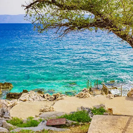 Unit_type_holiday_room 53454